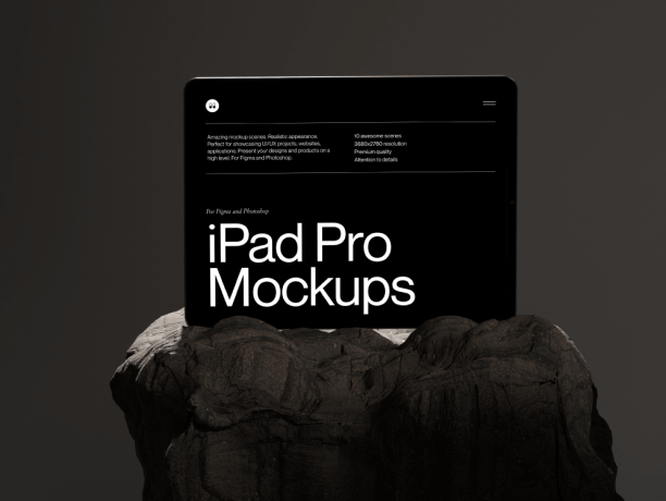 ipad pro mockup on the rock